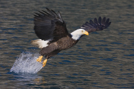 img_3550.jpg