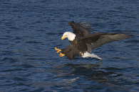 img_3005.jpg