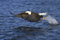 img_3006a.jpg