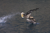 img_3746.jpg