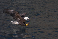 img_3769.jpg