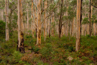 1-australia-5361.jpg