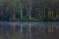 2-australia-5366.jpg