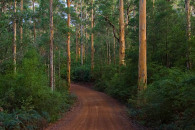 3-australia-5430-edit-edit.jpg