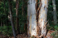 4-australia-5433-edit.jpg