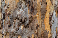 5-australia-5442-edit.jpg