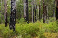7-australia-5473.jpg