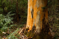 8-australia-5542.jpg