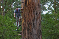 9-australia-5573.jpg