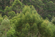 9-australia-5622.jpg