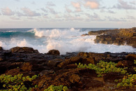 91-img_7326-edit.jpg