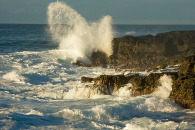3-img_6815-edit.jpg