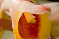 g-img_7475-edit.jpg