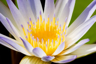 g-img_7498-edit.jpg