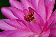 g-img_7508-edit.jpg