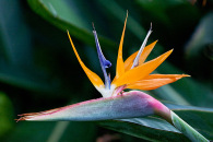 g-img_7938-edit.jpg