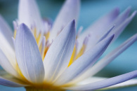 h1-img_7524-edit-3.jpg