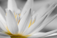 h2-img_7524-edit-4.jpg