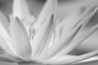 h3-img_7524-edit-edit.jpg