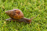 w-img_6668-edit.jpg