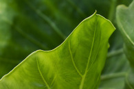 w-img_6856-edit.jpg