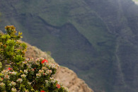 w-img_7083-edit.jpg