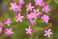 w-img_7094-edit.jpg
