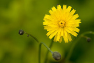 w-img_7104-edit.jpg