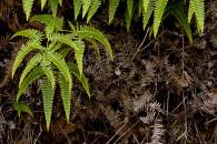 w-img_7118-edit.jpg