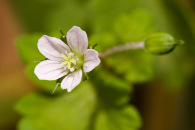 w-img_7156-edit.jpg