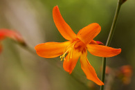 w-img_7162-edit-edit.jpg