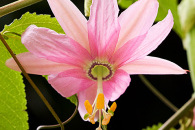 w-img_7196-edit.jpg