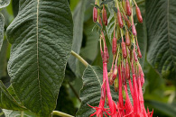 w-img_7202-edit.jpg