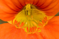 w-img_7220-edit.jpg