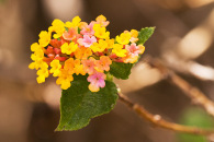 w-img_7246-edit.jpg