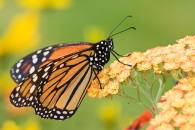 img_8036-edit