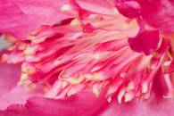 img_8099-edit