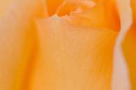 img_8109-edit
