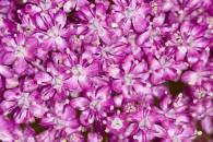 img_8127-edit-edit