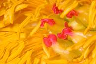 img_8134-edit