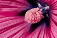 img_8137-edit