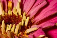 img_8144-edit