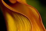 img_8152-edit