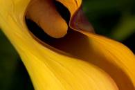 img_8158-edit