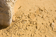 5-pinacles-5123.jpg