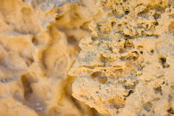 8-pinacles-5126.jpg