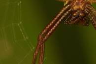 hf-meth-a-spider-misalighment