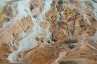 Mammoth Hot Springs