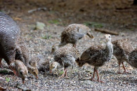 img_8733-edit