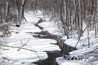 roadside-stream-2_img_0515